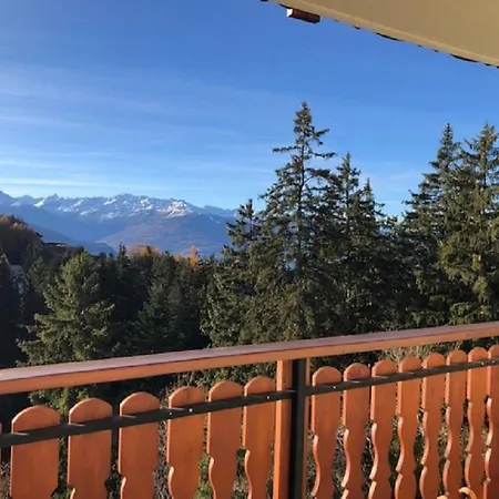 Between Slopes And Golf Facing The Alps